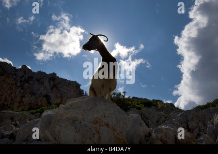 Una montagna di capra rocce salite sull'isola greca di Symi nella parte meridionale del Dodecaneso. Foto Stock