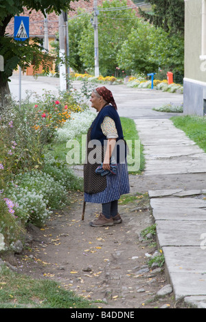 Transilvania Romania Europa settembre una vecchia donna con un bastone da passeggio in piedi al di fuori della propria casa Foto Stock