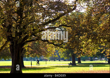 Inizio autunno in Ealing Common W5 London Regno Unito Foto Stock