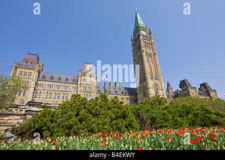 Blocco di Centro e di pace Torre di edifici del Parlamento e un giardino di tulipani su Parliament Hill, città di Ottawa, Ontario Foto Stock