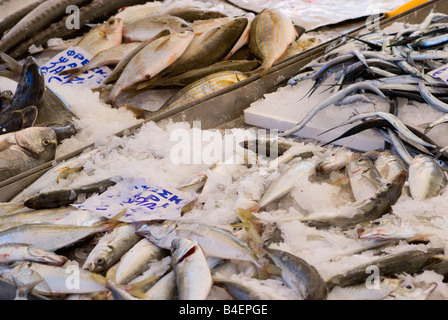 Ago tromba e orate di pesce pescato fresco per vendita a Lavrio Mercato del pesce del Mar Egeo greco Grecia continentale Foto Stock