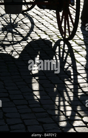 Cavallo e carrello carrello ombra sulla pavimentazione in strada a roma italia Foto Stock