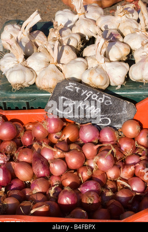 Bulbi di aglio e scalogno cipolle per vendita a Lavrio mercato di frutta e verdura della Grecia continentale Grecia Egeo Foto Stock