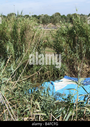 Immigrato improvvisati riparo in un campo in Italia Foto Stock