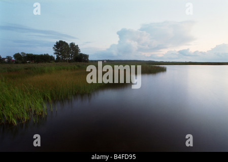 Il lago Lebsko, Polonia Foto Stock