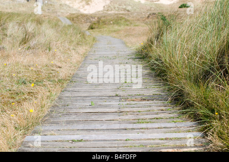Percorso di legno tra le dune sul punto Blakeney vicino Morston Norfolk Inghilterra Foto Stock