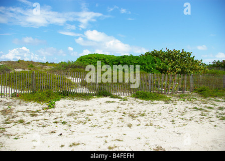 Un recintata zona di dune di erba a South Beach, Miami, Florida Foto Stock