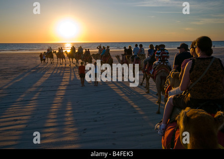 A dorso di cammello al tramonto sulla spiaggia di Cable Broome Australia Occidentale Foto Stock