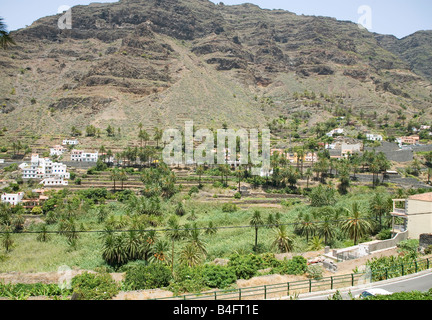 Terrazze di palme sull'isola di La Gomera La Gomera è situato molto vicino a Tenerife ed è una delle isole Canarie Foto Stock
