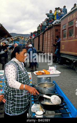 I turisti e la gente del posto a bordo della Devils naso convoglio ferroviario sedersi sulla parte superiore dei vagoni ferroviari che ha fermato a Alausi per cibo. Foto Stock