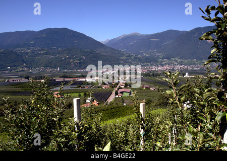 Vista da frutteti sopra la città di Postal-Burgstall a Lana, nel Sud Tirolo, Italia Foto Stock