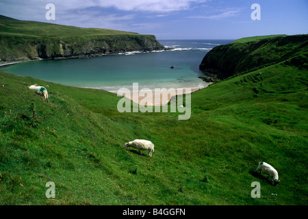 Irlanda, Contea di Donegal, Glencolumbcille, Malin Beg Beach Foto Stock