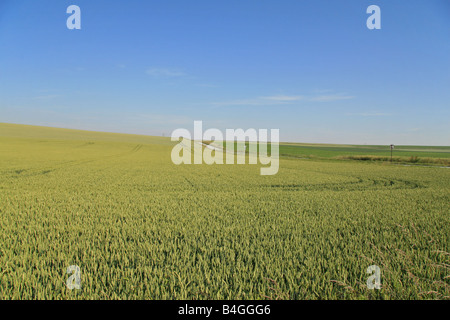 Vista lungo la posizione della British linea anteriore al 1° luglio 1916 a La Boisselle, Somme, Francia. Foto Stock