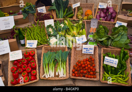 Visualizzazione di verdura biologica sulla vendita a Ludlow Food Festival Ludlow Shropshire England Regno Unito Foto Stock