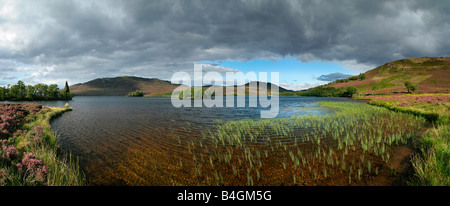 Loch Tarff panorama, vicino a Fort Augustus, altopiani, Scozia Foto Stock