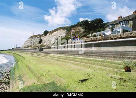 Casa sopra di calcestruzzo con frangiflutti incrostati di alga verde in corrispondenza del bordo del mare sull'Isola di Wight Foto Stock