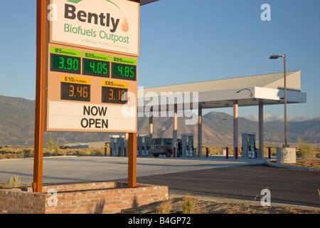 Biocarburanti alla stazione di servizio. Foto Stock