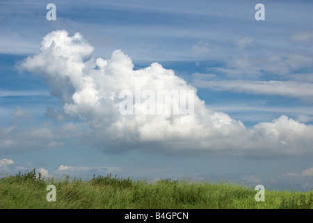 Cumulus mediocris Foto Stock