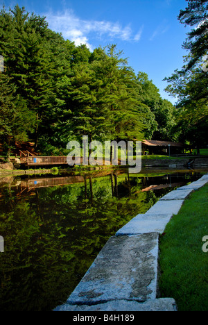 Alberi lungo il litorale si riflettono nel lago a Evergreen Comunità del Parco di Pittsburgh, in Pennsylvania. Foto Stock