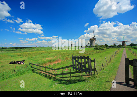 Rurale scena da Kinderdijk, Olanda Foto Stock