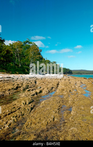 Spiaggia MURRAYS BOODEREE NATIONAL PARK IN Jervis Bay Nuova Galles del Sud Australia Foto Stock