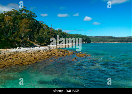 Spiaggia MURRAYS BOODEREE National Park in Jervis Bay Nuova Galles del Sud Australia Foto Stock