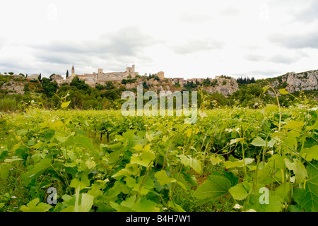 Grapevine in crescita in campo con castello in background, Aigueze, Ardeche, Rhone-Alpes, Francia Foto Stock