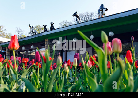 Fiori che sbocciano nel parco, CowParade, Cafe Schoenbrunn, Friedrichshain di Berlino, Germania Foto Stock