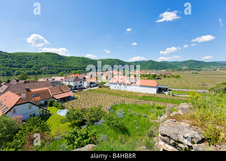 Case nel borgo, dal Danubio, Unterloiben Oberloiben, Wachau, Austria Inferiore, Austria Foto Stock