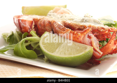 Fresco di lusso delizioso vestito canadese aragosta, preparato e cotto nel suo guscio, pronto a mangiare, isolata contro uno sfondo bianco Foto Stock