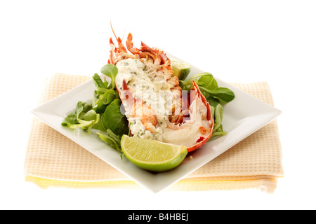 Fresco di lusso delizioso vestito canadese aragosta, preparato e cotto nel suo guscio, pronto a mangiare, isolata contro uno sfondo bianco Foto Stock