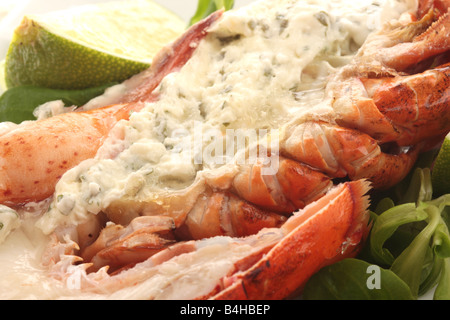 Fresco di lusso delizioso vestito canadese aragosta, preparato e cotto nel suo guscio, pronto a mangiare, isolata contro uno sfondo bianco Foto Stock