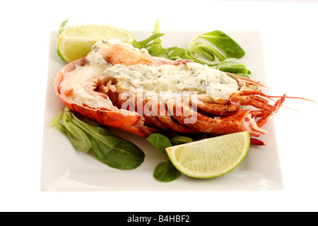 Fresco di lusso delizioso vestito canadese aragosta, preparato e cotto nel suo guscio, pronto a mangiare, isolata contro uno sfondo bianco Foto Stock