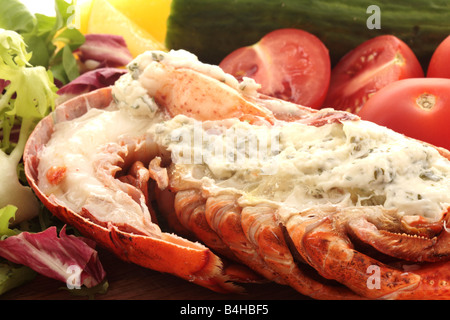 Fresco di lusso delizioso vestito canadese aragosta, preparato e cotto nel suo guscio, pronto a mangiare, isolata contro uno sfondo bianco Foto Stock