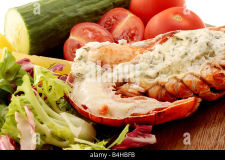 Fresco di lusso delizioso vestito canadese aragosta, preparato e cotto nel suo guscio, pronto a mangiare, isolata contro uno sfondo bianco Foto Stock