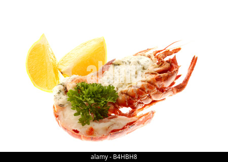 Fresco di lusso delizioso vestito canadese aragosta, preparato e cotto nel suo guscio, pronto a mangiare, isolata contro uno sfondo bianco Foto Stock