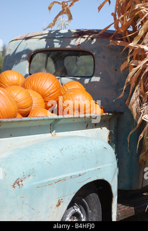 Old Ford pickup truck riempito con zucche in agriturismo Foto Stock