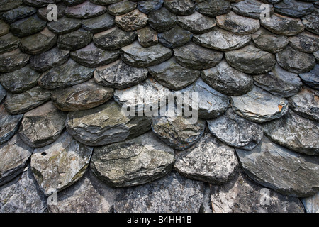 Scala di Pesce di coperture della Valle del Lot, Francia Foto Stock
