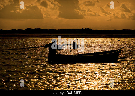 Pescatore che raccoglie le cozze a Blakeney Harbour Norfolk Foto Stock
