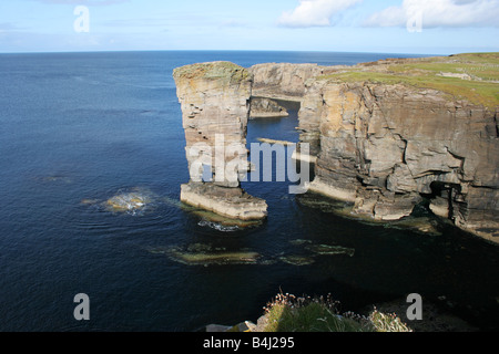 Yesnaby castello, un imponente stack di mare sulla costa occidentale del continente, Orcadi Scozia Scotland Foto Stock