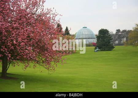 Vista delle Serre Reali di Laeken, Bruxelles Belgio Foto Stock