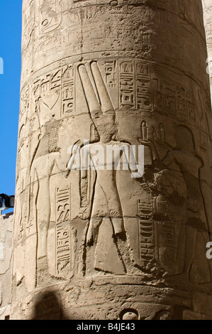 Rilievi scolpiti sulla colonna nella Grande Sala Hypostyle, Tempio di Karnak complessa, Sito Patrimonio Mondiale dell'UNESCO, Luxor, Egitto Foto Stock