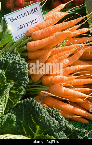 Le carote su una fase di stallo in un mercato degli agricoltori Foto Stock