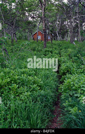 Cabina in foresta Foto Stock