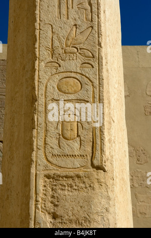 Cartiglio di Thutmose II (Aakheperenre) in bassorilievo, Regina Hatshepsuts tempio mortuario, necropoli tebana, Luxor Foto Stock