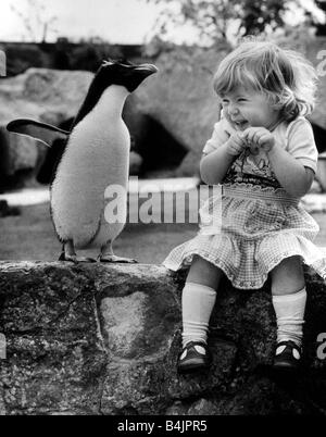 Rocky il pinguino non perde mai una possibilità di mostrare di fronte ai visitatori del Cotswold Wildlife Park fu allevato e preferito la compagnia di due anni Nicola McNally alla altri pinguini Foto Stock