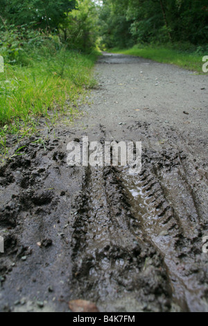 Ruota di bicicletta tracce nel fango sulla pista ciclabile nel paese Foto Stock
