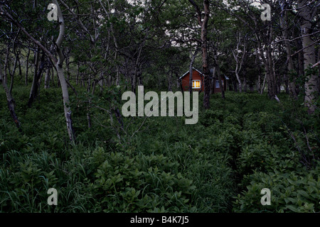 Cabina in foresta Foto Stock