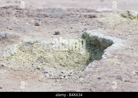 Piccolo sfogo di zolfo alla Solfatara Foto Stock