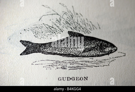 Illustrazioni in bianco e nero da un libro di pesca da Izaack Walton, 'l'Compeat pescatore". Foto Stock